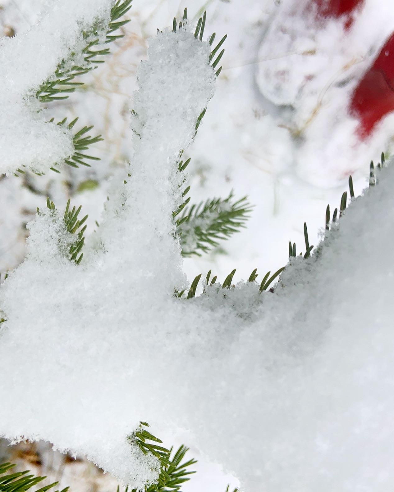 9 Ways to Quickly Improve Your Mental Health Naturally