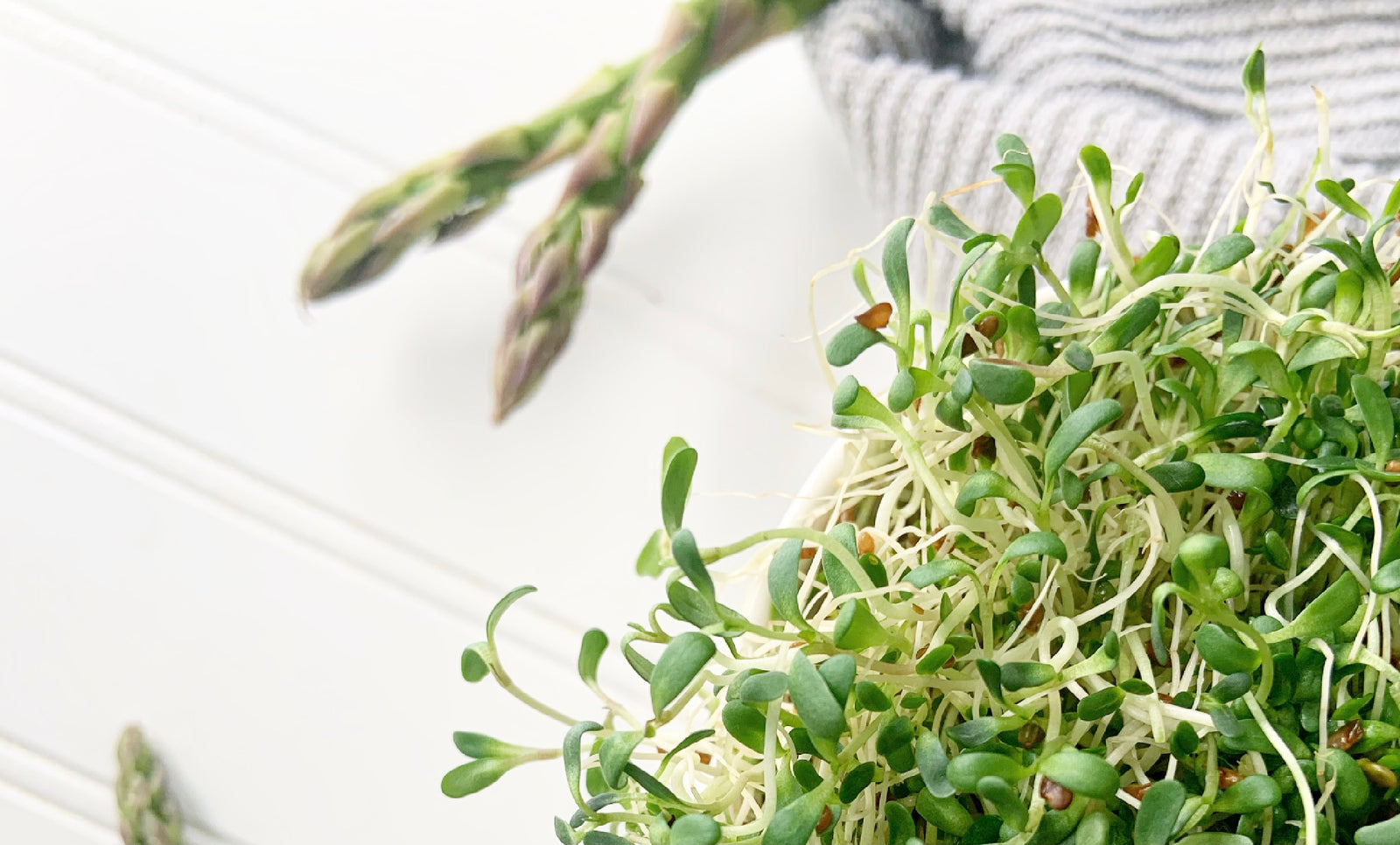 Your  Guide to E. coli: How does one E. coli make you ill, while another is a probiotic?