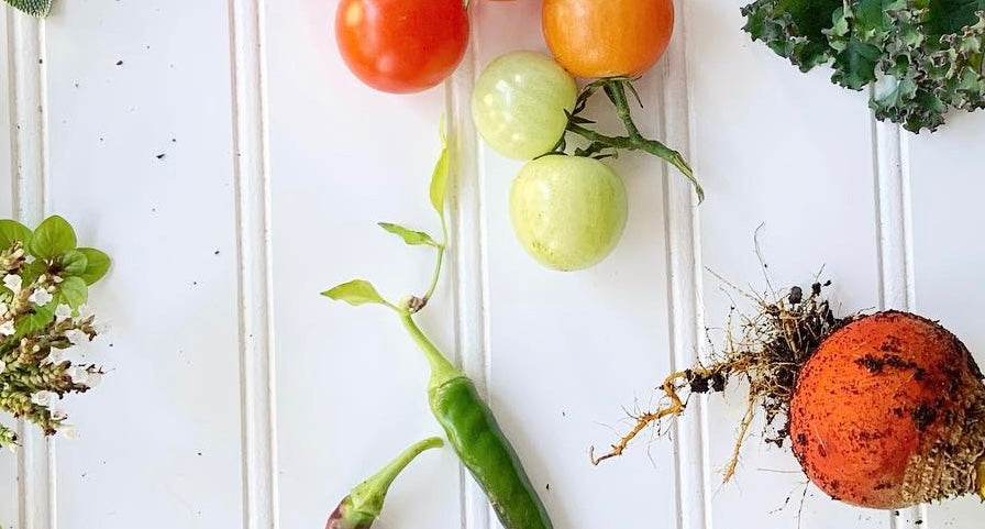 The Gut-Brain Connection: 5 Foods that Play a Role in Gut Health & Mental Wellness