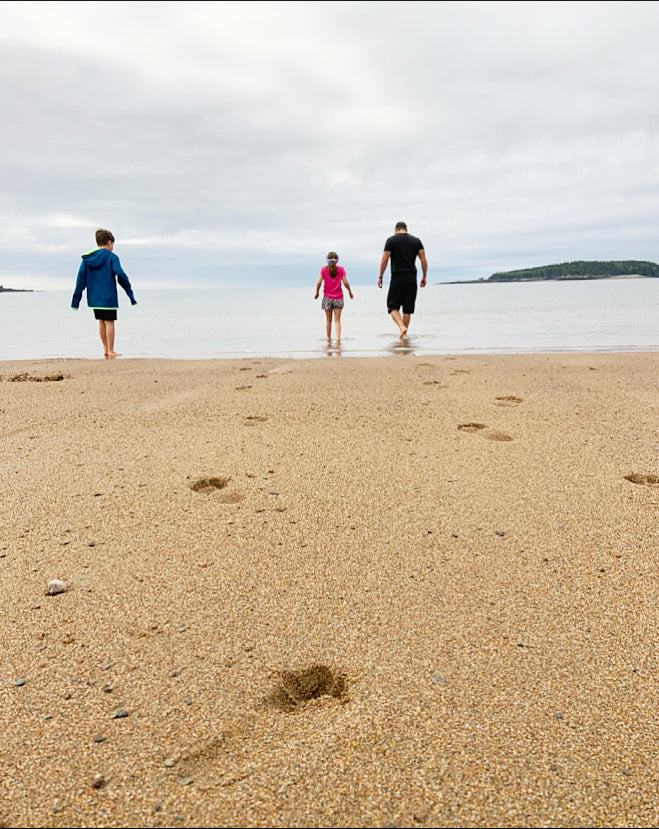 What Does Sustainable Eating Look Like?