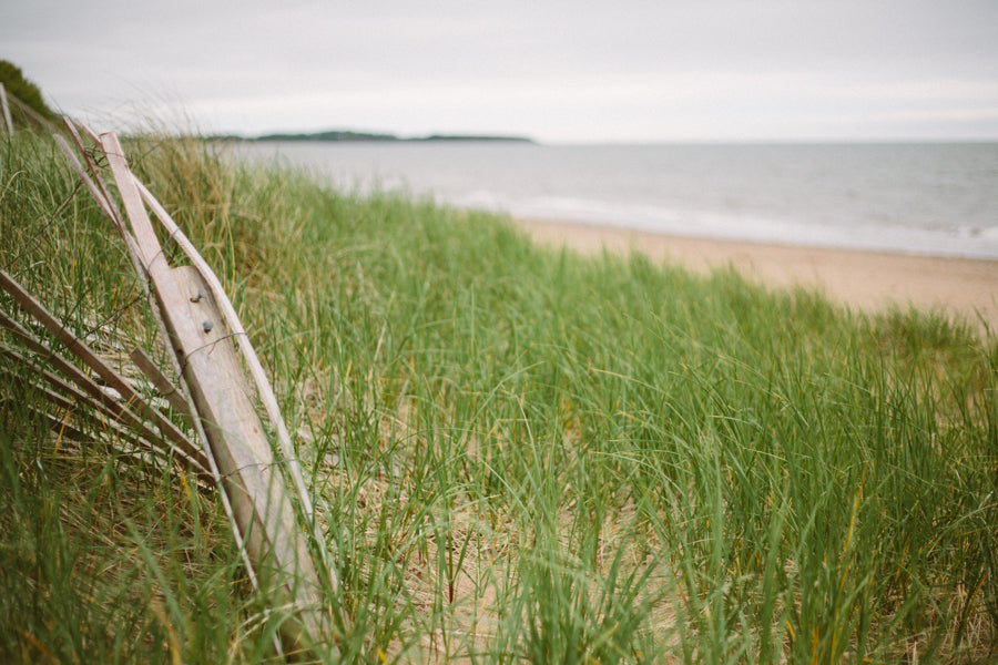 Fishy Business: 5 Things You Need to Know When Buying Sustainable Seafood